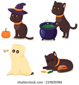 Halloween Cat 