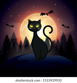 halloween cat with bats flying and moon in dark night