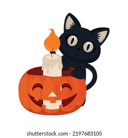 halloween cat and candle isolated icon