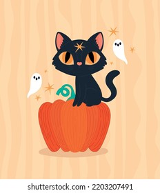 halloween cat cartel over pumpkin