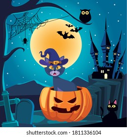 Halloween cat cartoon on pumpkin in front of house design, Holiday and scary theme Vector illustration