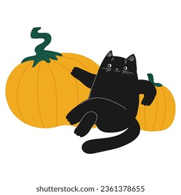 Halloween cat character. Black cat with pumpkin. Autumn harvest kitty. Vector illustration isolated on white background.