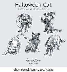 Halloween cat. cute black cat witch hat sitting. vector illustration