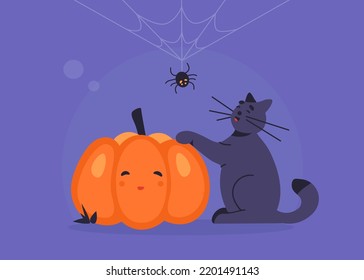 Halloween cat and cute pumpkin face. Catching the black spider hanging on a web.