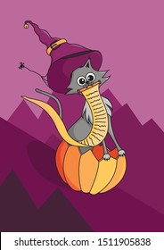 Halloween cat dressed in a witch hat rolling down the mountain in a pumpkin for shopping