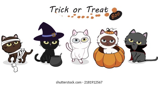 Halloween cat fancy dress collection  Halloween pets  Trick treat  Boo  Fuuny pets  Cartoon spooky baby character  Scary print for design  Vector illustration white background 