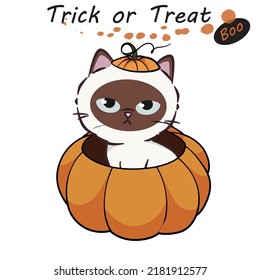 Halloween cat fancy dress costume. Cat dressed as a pumpkin. Halloween pets. Trick or treat. Boo. Cartoon spooky baby character. Scary print for design. Vector illustration on white background.