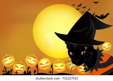 Halloween cat with full moon and cute pumpkins, Halloween background with space for text. Illustration vector