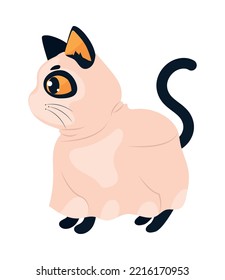 gato de halloween con disfraz fantasma