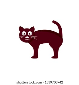 halloween cat mascot isolated icon vector illustration design