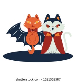 halloween cat mascot seasonal icon vector illustration design