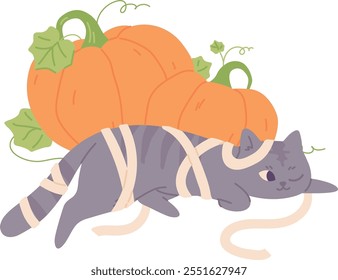 Halloween cat in mummy costume. Cute autumn holiday pet isolated on white background