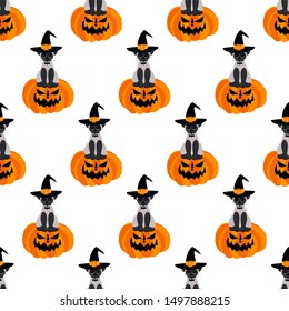 Halloween cat on pumpkin seamless pattern on the white background. Vector illustration