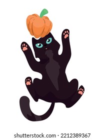 halloween cat playing with pumpkin mascot