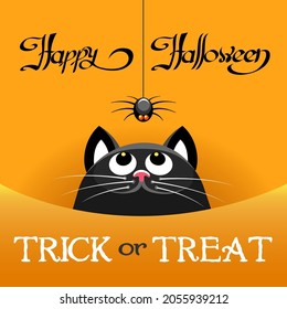 Halloween cat poster. Trick or treat happy halloweens night party invitation card, pumpkins color background with cat hunting for spider animals characters vector illustration
