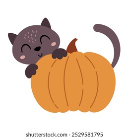 Halloween cat and pumpkin clipart. Cute Halloween character. Hand draw vector illustration in flat style