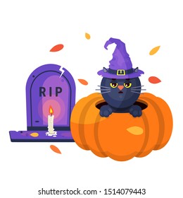 halloween cat pumpkin cute gravestone candle white background