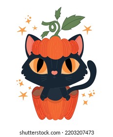 halloween cat in a pumpkin over white