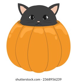halloween cat in the pumpkin vector illustration