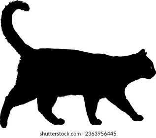 Halloween Cat Silhouette vector Art