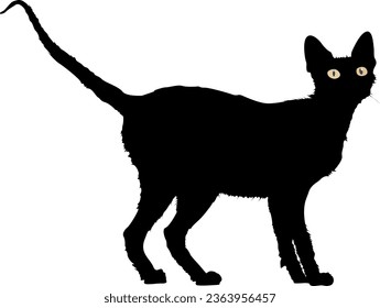 Halloween Cat Silhouette vector Art