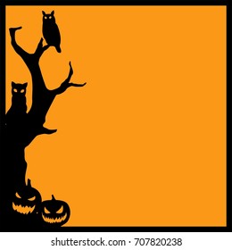 halloween cat and star background