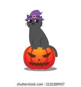 Halloween cat vector cartoon illustration