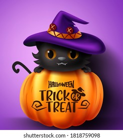 Halloween cat vector concept design. Halloween trick or treat text in pumpkin element with cute black cat character wearing hat in violet background for halloween design. Vector illustration   