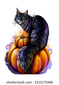 
Halloween Cat.  Wall sticker. Color hand-drawn image of a black cat sitting on a pumpkin in a watercolor style.
