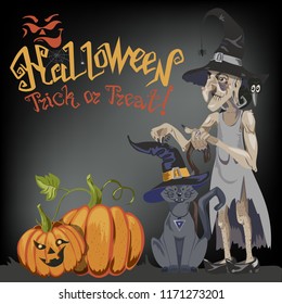 A Halloween cat in a witch hat sits against a full moon at night. Near the broom, pumpkin with sweets and leaves, volatile vampires and stars. The autumn holidays. Vector, flat style.