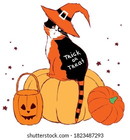 Halloween cat in the witch hat sits on the pumpkin, hand-drawn.