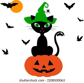 Halloween. El gato del sombrero de bruja se sienta en una calabaza. Los murciélagos. Sobre un fondo blanco. Luna.