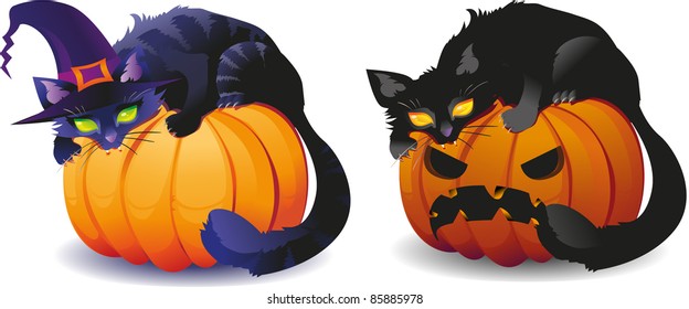 Halloween cats