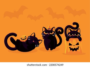 halloween cats and pumpkin, icon set