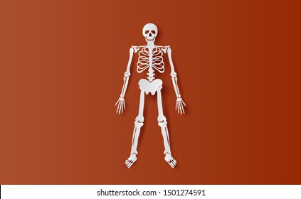 Halloween Characters of Skeleton simple bone.icon on brown isolate background.Creative paper cut and craft minimal scene place for your text.Biology body human anatomy design vector illustration EPS10