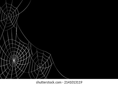 halloween cobweb background. halloween cobweb wallpaper.
