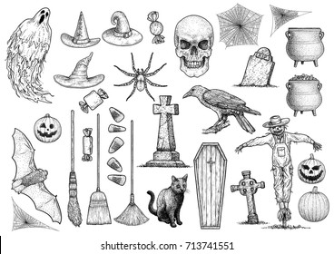 Halloween collection illustration, drawing, engraving, ink, line art, vector