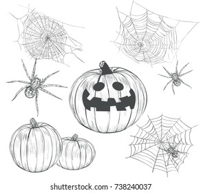 Halloween collection of vector drawings. Set Halloween feast sketch pumpkin, spider web, spider