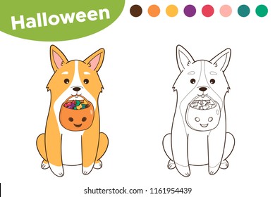 Halloween Coloring Page For Kids. Welsh Corgi Dog With Candies. Vector Illustration.