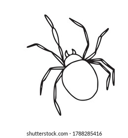 Halloween concept. Cute spider with. Children's vector illustration on a white isolated background.