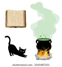 Halloween concept. Old ancient spell book, witch cauldron with green poison and black cat isolated on white background. Vector