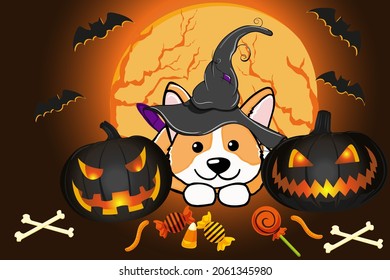 Halloween corgi dog dressed as a witch, wearing a hat with black and orange pumpkins and lollipops, candy on a stick. Pet lovers theme vector cartoon illustration