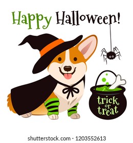 Halloween corgi puppy dog wearing witch costume with black hat and cape, cauldron brewing bubbling green potion vector cartoon illustration isolated on white. Funny cute pet Happy Halloween theme.