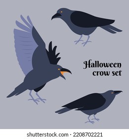 Halloween crow set. Realistic crows.