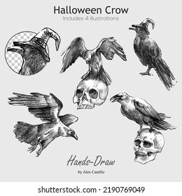 Halloween crow. vector illustration. Crow,Black raven bird isolated 