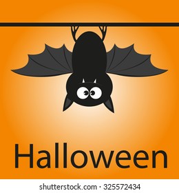 Halloween cute bat, design element