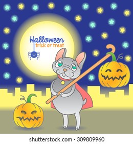 Halloween. Cute bulldog and pumpkin. Night, moon, city.