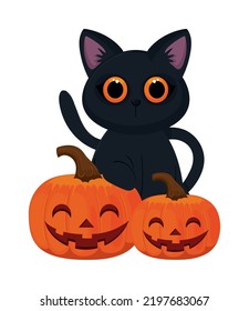 halloween cute cat and pumpkins isolated icon