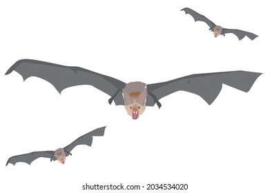 Halloween cute and slightly scary face bat set