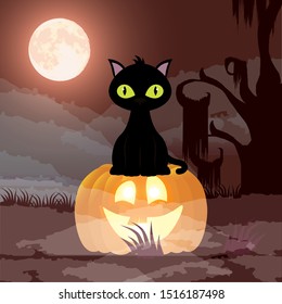 halloween dark night scene with pumpkin and cat vector illustration design